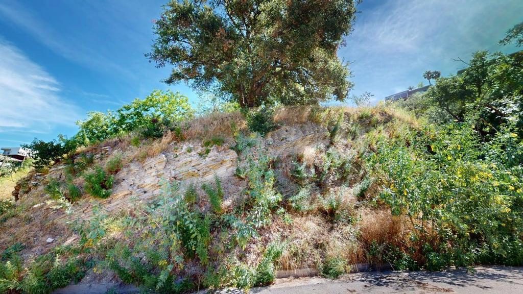 Land in Sherman Oaks 4