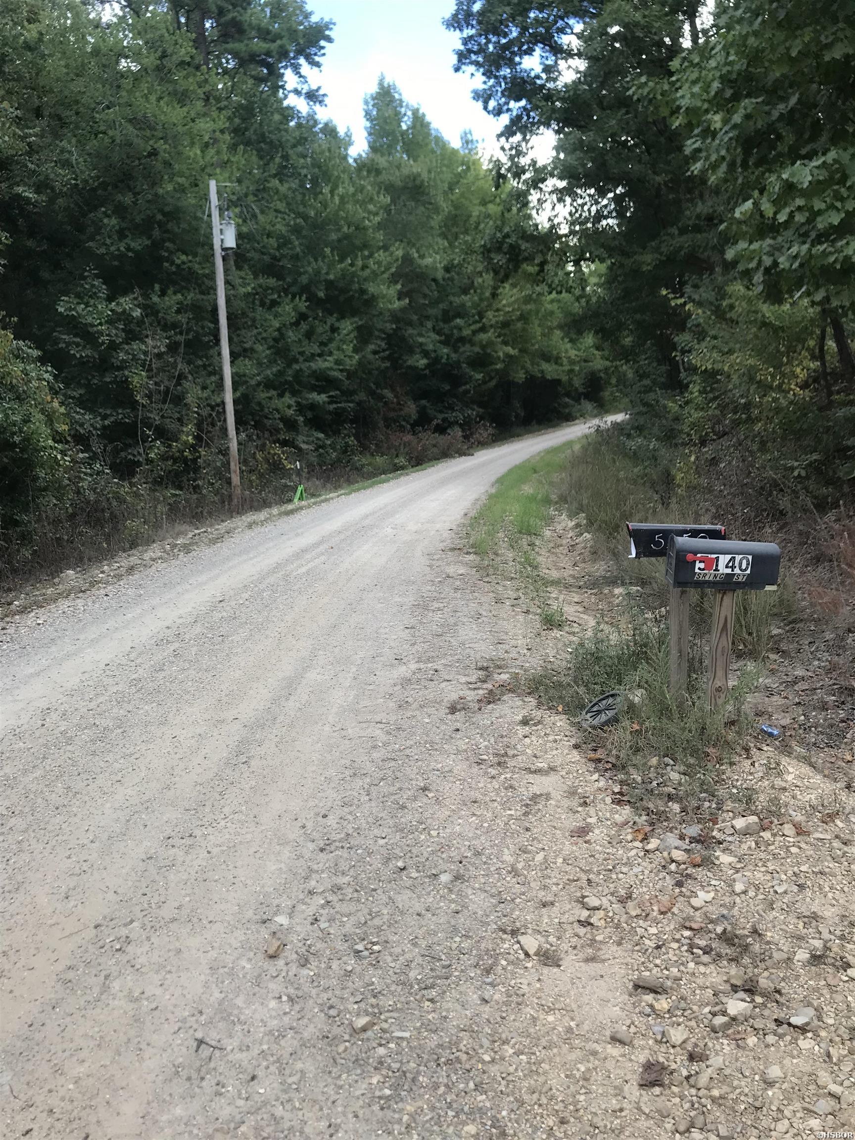 Spring St, Hot Springs National Park, AR 71901 #1