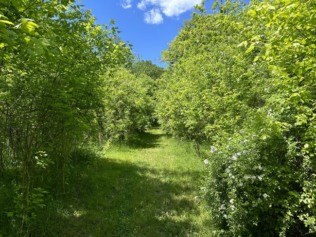 66 Thompson Hollow Rd, Home with 0 bedrooms, 0 bathrooms and null parking in Taft TN | Image 12