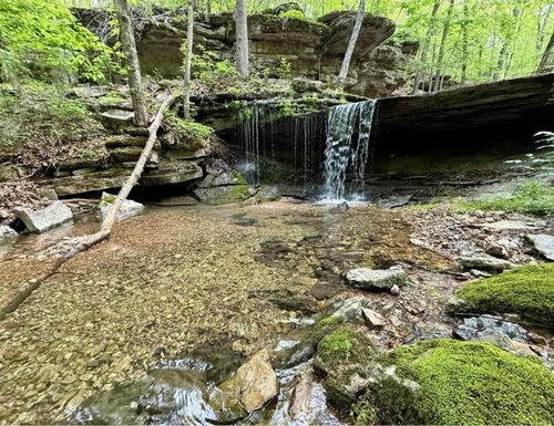 000 Horton Rd, Rocky Comfort, MO, 64861 | Card Image