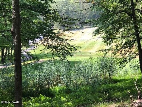 Lot 258 Beartrap Mountain Rd, Greentown, PA, 18426 | Card Image