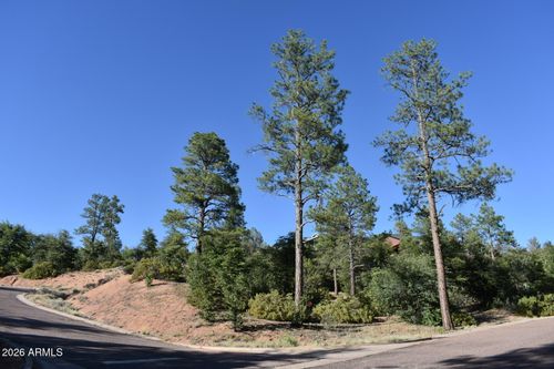 19-LOT 19 E Pine Ridge Dr, Star Valley, AZ, 85541-2542 | Card Image