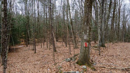 00 Patton Rd, Westmoreland, NH, 03467 | Card Image