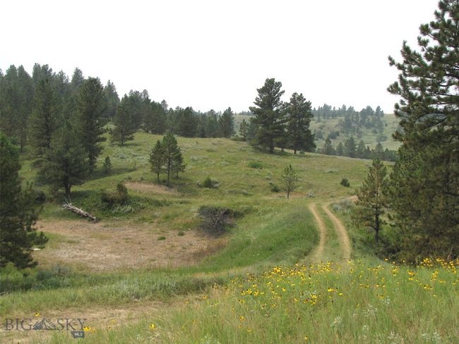 Dry seasonal pond | Image 44