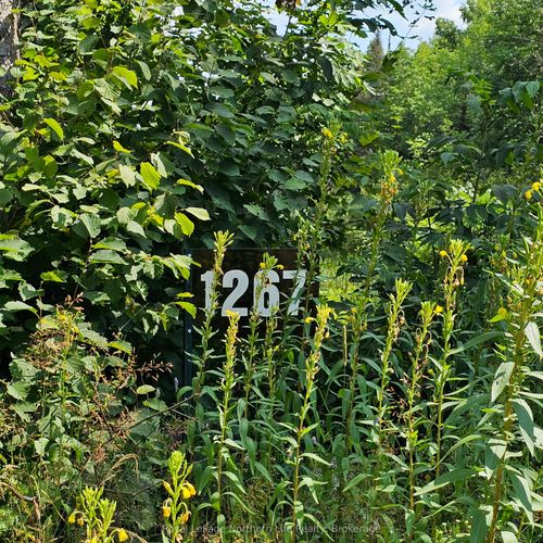 1267 Snake Creek Rd, Mattawa, ON, P0H1V0 | Card Image