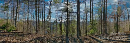 82 Bear River Lodge Trl, Marshall, NC, 28753-7680 | Card Image