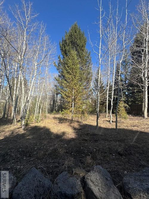 4788 Balsam St, Island Park, ID, 83429-5142 | Card Image