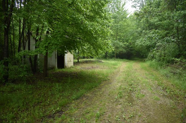 13151 Tuttlehill Rd, Home with 0 bedrooms, 0 bathrooms and null parking in Milan MI | Image 5