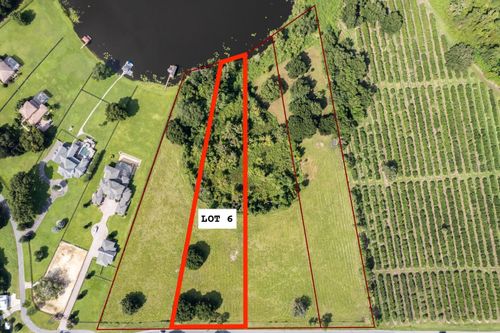 Lot 6 Sadler (County Road 448), Mount Dora, FL, 32757 | Card Image