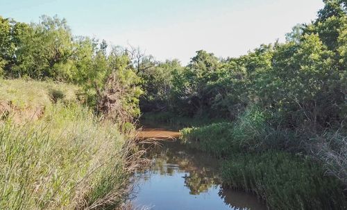 354 Co Rd 354, Winters, TX, 79567 | Card Image