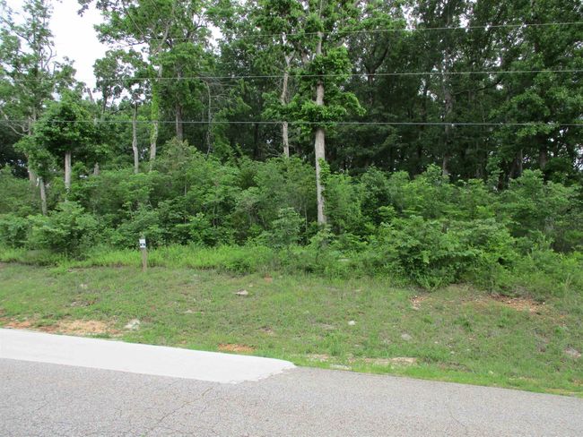 86 Adam Loop, Home with 0 bedrooms, 0 bathrooms and null parking in Bath Springs TN | Image 13
