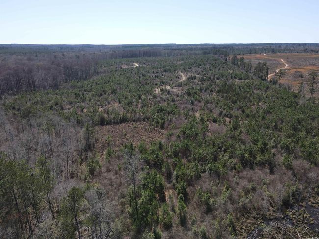 00 Highway 278 Highway, Home with 0 bedrooms, 0 bathrooms and null parking in Rosston AR | Image 10