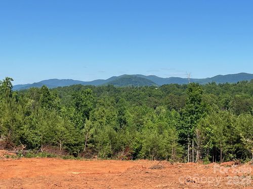 20-TBD Vein Mountain Road, Nebo, NC, 28761 | Card Image