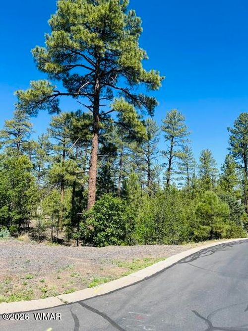 1900 Silvertree Ln, Show Low, AZ, 85901-3480 | Card Image