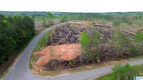 579-acres-1 County Road 216, Delta, AL, 36258 | Card Image