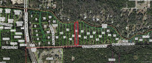 13651 W Foss Groves Path, Inglis, FL, 34449 | Card Image