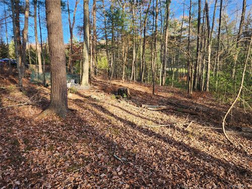 0 Taras Shevchenko Rd, Glen Spey, NY, 12737 | Card Image