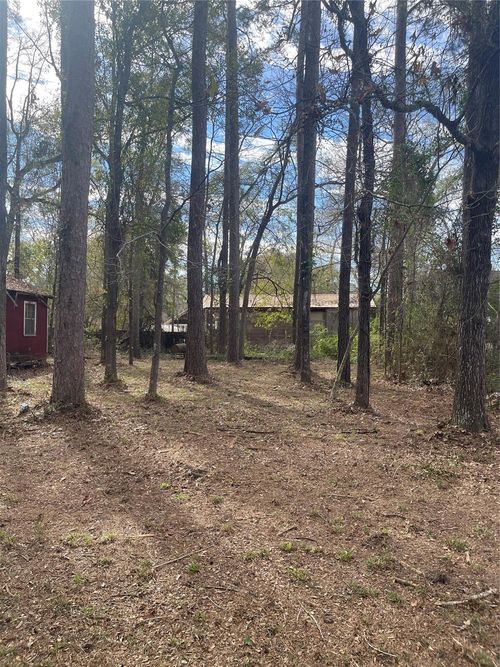 TBD Honeysuckle, Livingston, TX, 77351 | Card Image