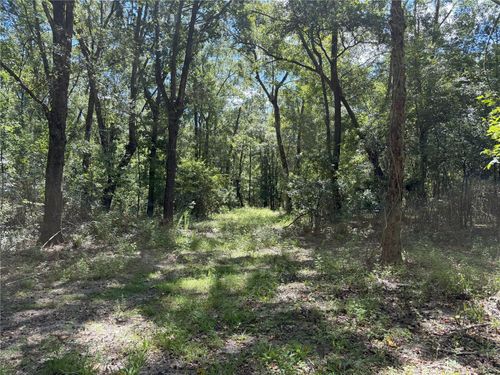 DO #3 (10ac) Nw 193rd St, Micanopy, FL, 32667 | Card Image