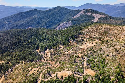 1120 Upper Democrat Gulch, Weaverville, CA, 96093 | Card Image