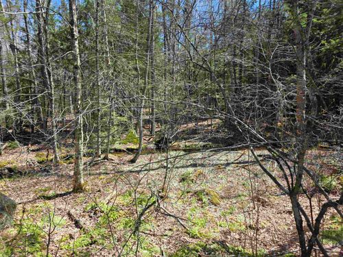 0 Mansfield Rd, Marlow, NH, 03456 | Card Image