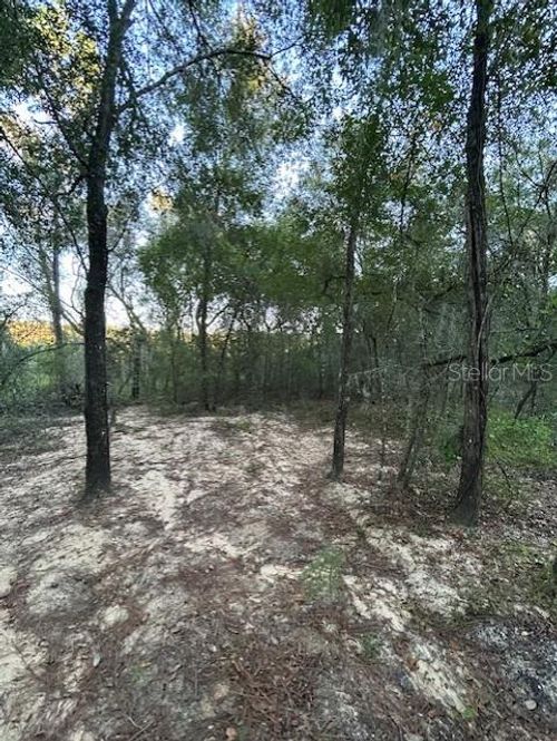 272 Riviera Dr, Interlachen, FL, 32148 | Card Image