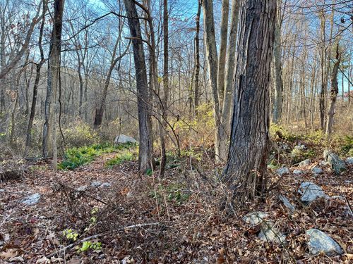 283 Windham Ave, Colchester, CT, 06415-2819 | Card Image