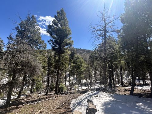 Lot 369 Vail Loop, Angel Fire, NM, 87710 | Card Image