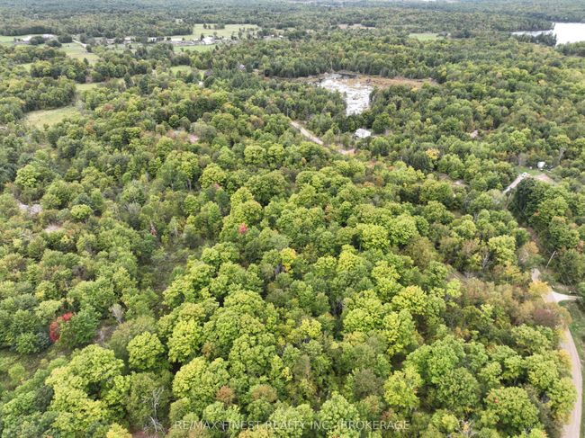 1147 Cronk Rd, Home with 0 bedrooms, 0 bathrooms and 4 parking in Parham ON | Image 7