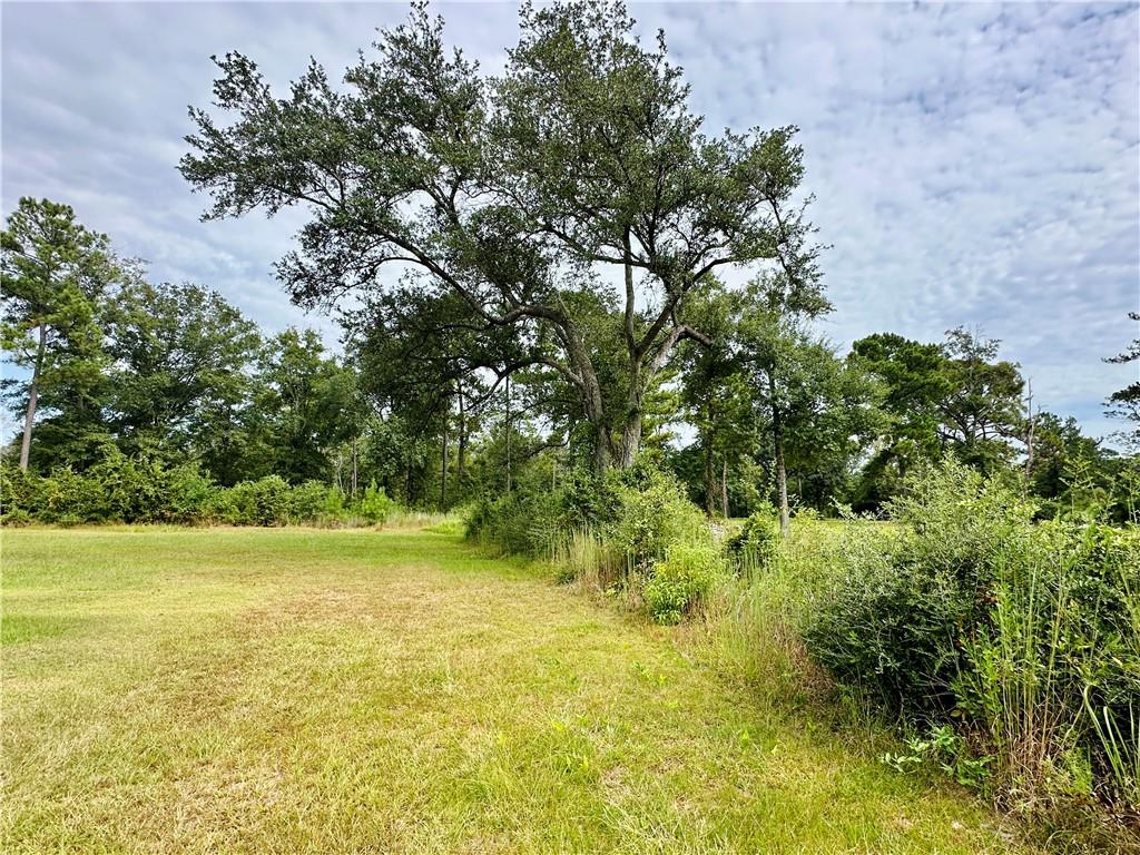 Land in Mobile