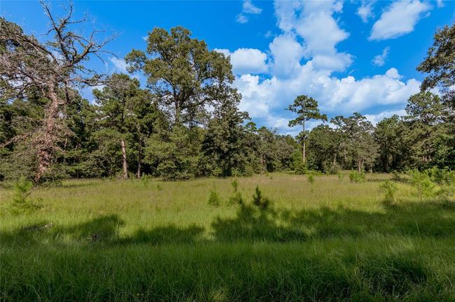 Over an acre of land could bring lots of possibilities | Image 6