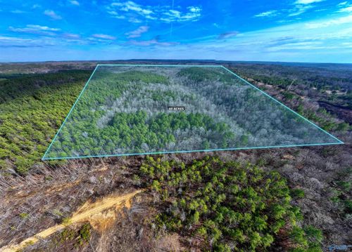 40 Acres Highway 69, Oakman, AL, 35579 | Card Image