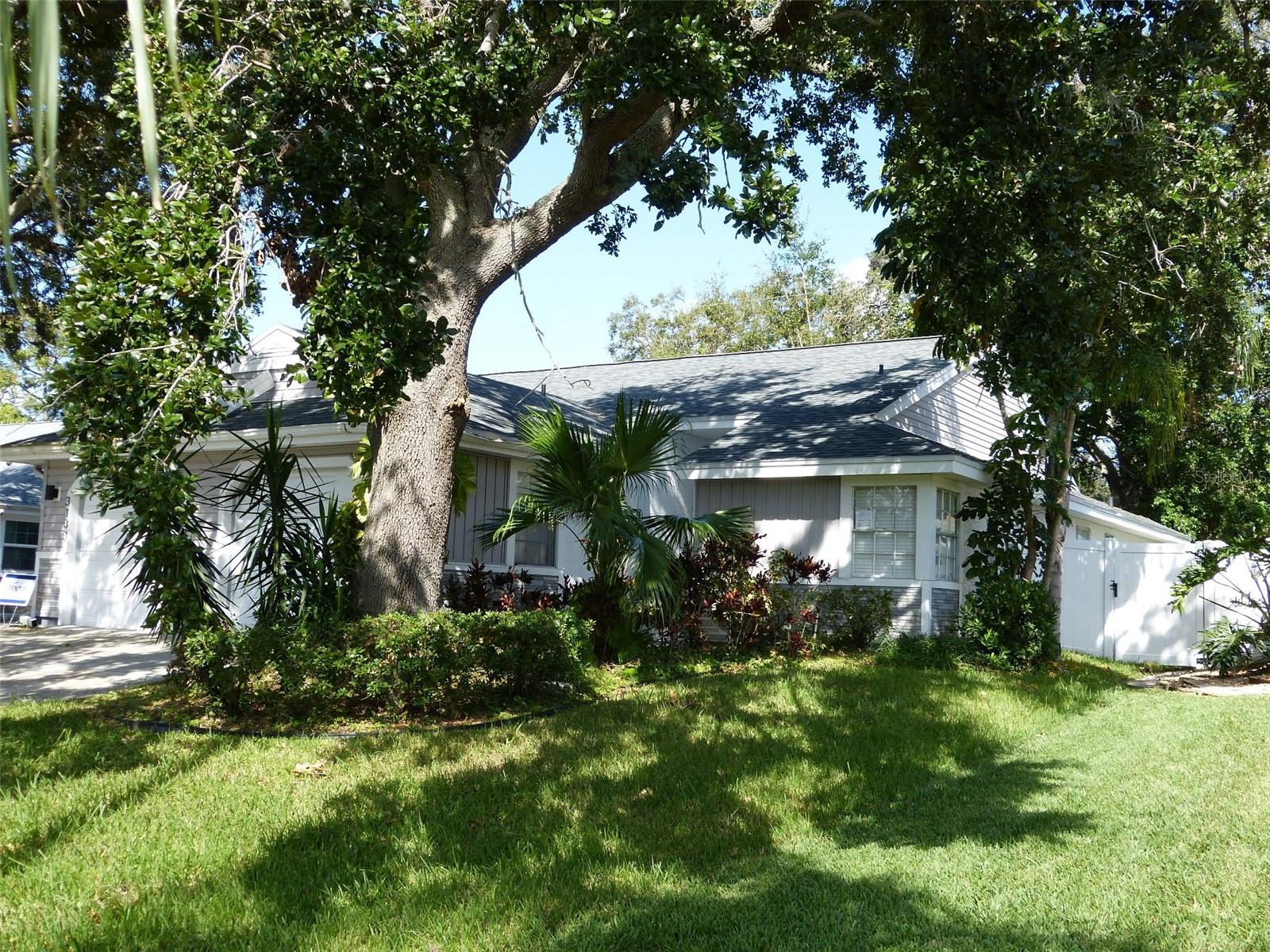 3135 Phlox Drive, For Rent in PALM HARBOR Zoocasa