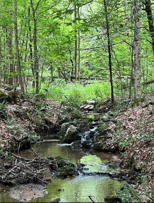 00 Cedar Springs Rd, Bradley, SC, 29819 | Card Image