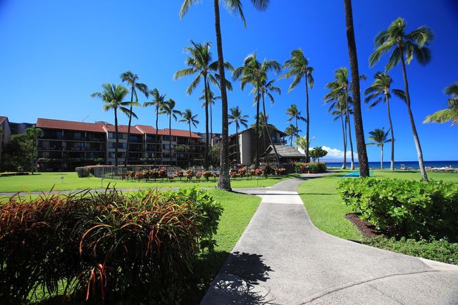C107 - 3543 Lower Honoapiilani Rd, Condo with 0 bedrooms, 1 bathrooms and null parking in Lahaina HI | Image 36