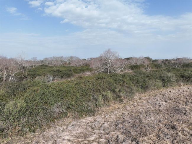 000 Schindler Rd, Home with 0 bedrooms, 0 bathrooms and null parking in Alleyton TX | Image 37