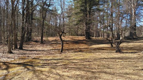 256 South Rd, East Hartland, CT, 06027-1602 | Card Image