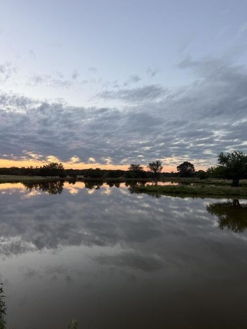 1963 County Road 44750, Blossom, TX, 75416-3954 | Card Image