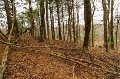 Lot 67 Southern View Trail, Home with 0 bedrooms, 0 bathrooms and null parking in Fancy Gap VA | Image 2