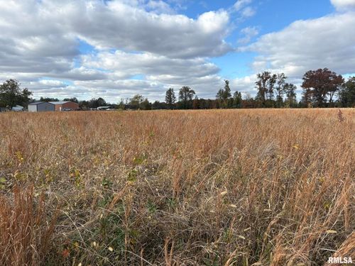 000 Bowling Alley Rd, Benton, IL, 62812 | Card Image