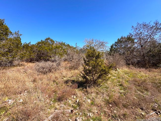172 Rayner Ct, Home with 0 bedrooms, 0 bathrooms and null parking in Spring Branch TX | Image 13