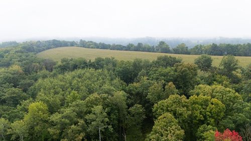 TBD (Lot 3) Goat Back Rd, Pepin, WI, 54759 | Card Image