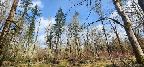 0 Justus Rd, Cinebar, WA, 98533 | Card Image