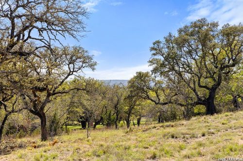 19 Stone Ridge Mountain Dr, Round Mountain, TX, 78663 | Card Image
