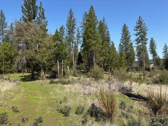 19292 Shawnee Trl, Home with 0 bedrooms, 0 bathrooms and null parking in Mokelumne Hill CA | Image 59