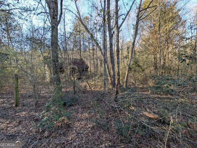 0 Ridgeway Rd, Home with 0 bedrooms, 0 bathrooms and null parking in Trion GA | Image 4