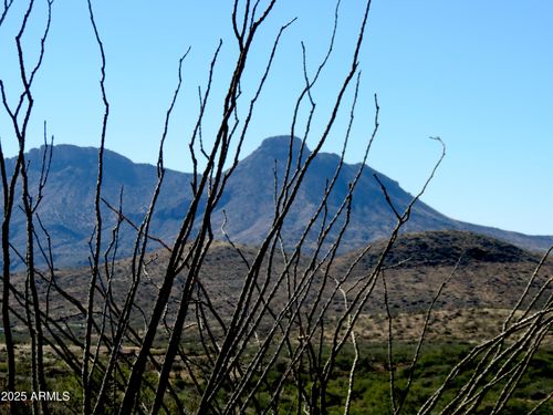 47-TBD E Walnut Spring Rd, Douglas, AZ, 85607 | Card Image