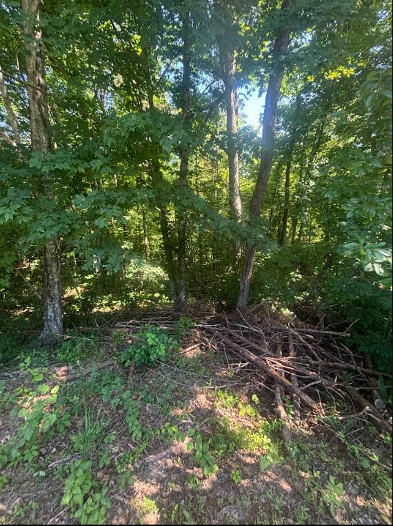 Land in Burnside 4