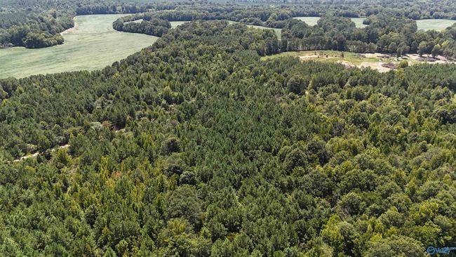002 Hwy 68, Home with 0 bedrooms, 0 bathrooms and null parking in Gaylesville AL | Image 7