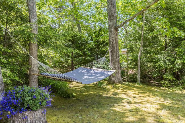Rear Yard | Image 8
